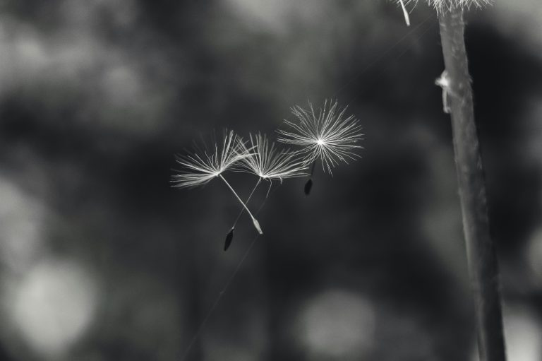 ed-stone-bqRWnNCPZfI-unsplash